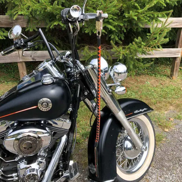 Motorcycle get back whip