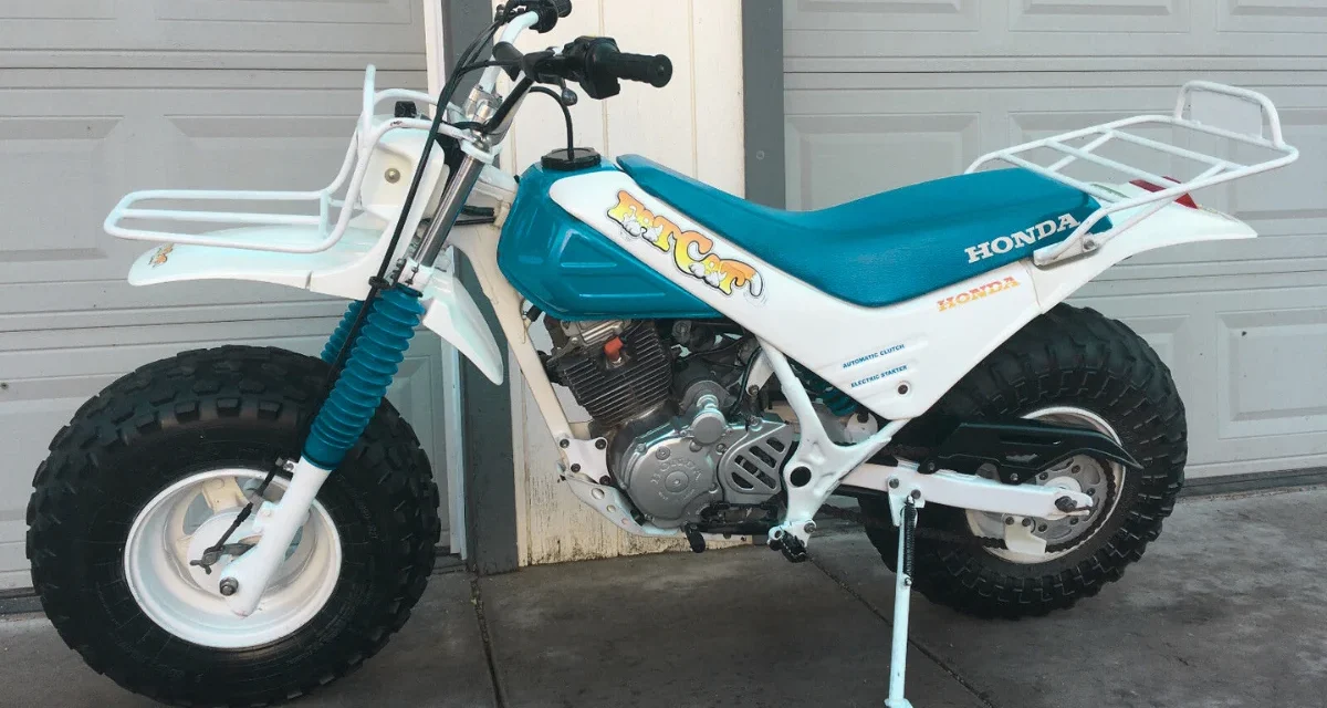 How Much Should You Pay for a Honda Fat Cat TR200?