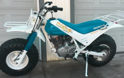 How Much Should You Pay for a Honda Fat Cat TR200?