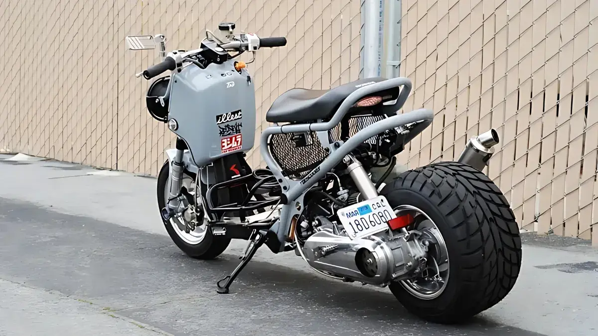 Custom Honda Ruckus