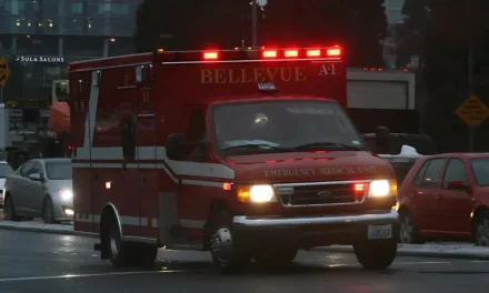 What Caused the Bellevue Motorcycle Accident at 116th Ave?