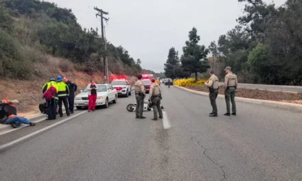 What Caused the Tragic Kerrville Crash That Killed Three Motorcyclists?