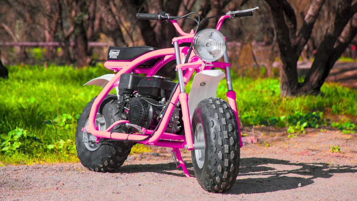 coleman BT200X